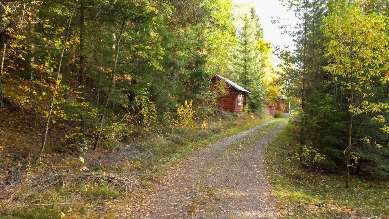 Little Forest House 
