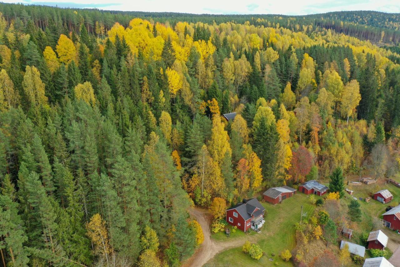 Little Forest House 
